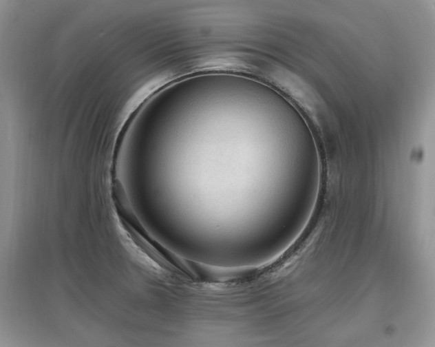X0000097881330200803141312