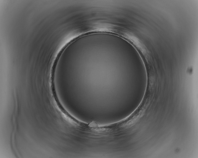 X0000097881331200803141312