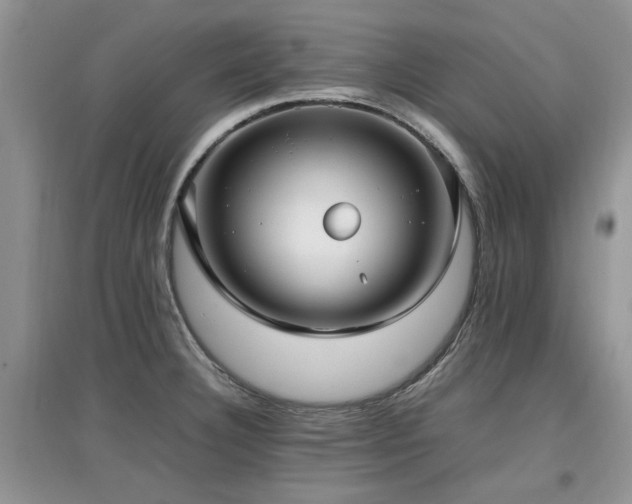 X0000097881332200803141312