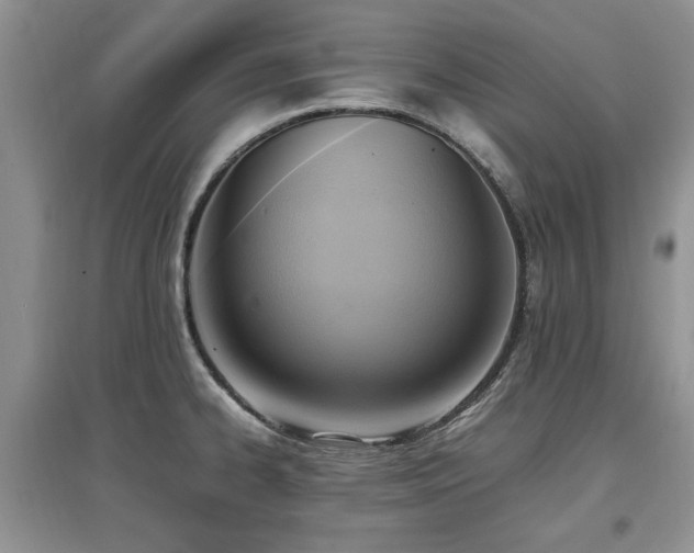 X0000097881334200803141312