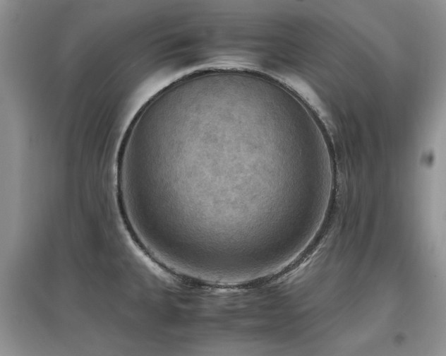 X0000097881335200803141312