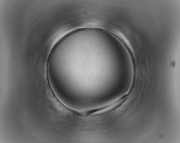 X0000097881336200803141312