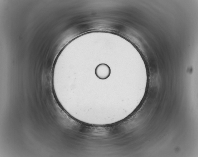 X0000097881338200803141312