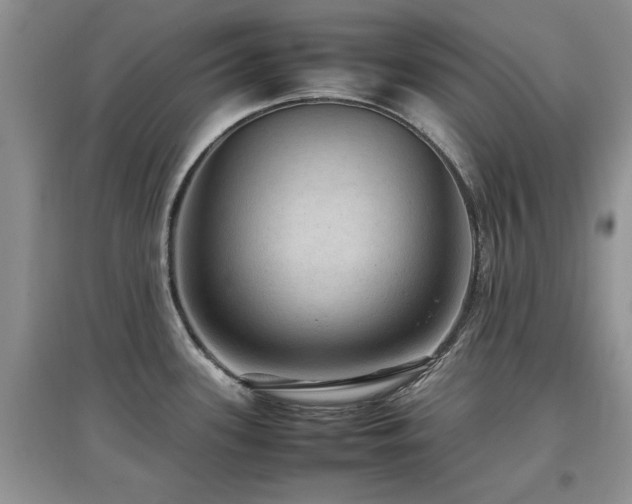 X0000097881339200803141312
