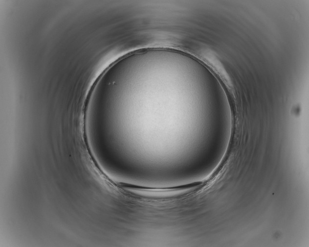 X0000097881340200803141312
