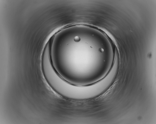 X0000097881341200803141312