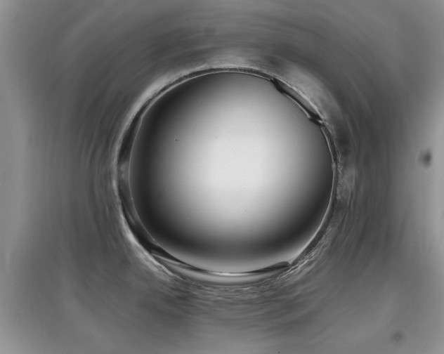 X0000097881342200803141312