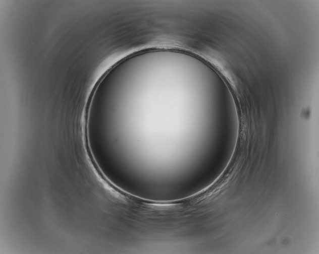 X0000097881343200803141312