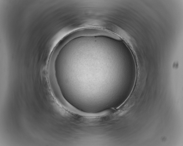 X0000097881344200803141312