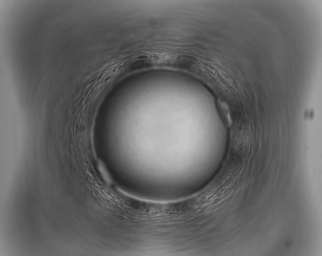 X0000097881345200803141311