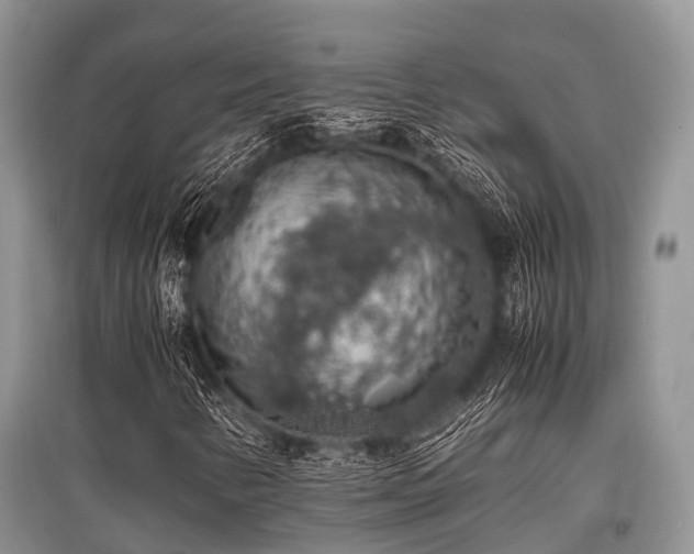 X0000097881346200803141311