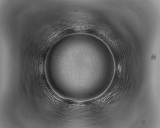 X0000097881348200803141311