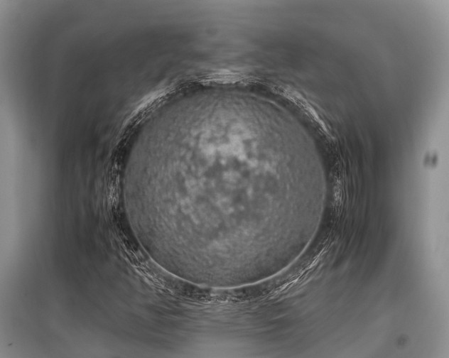 X0000097881350200803141311