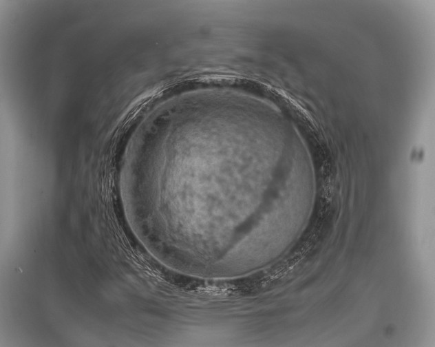 X0000097881351200803141311