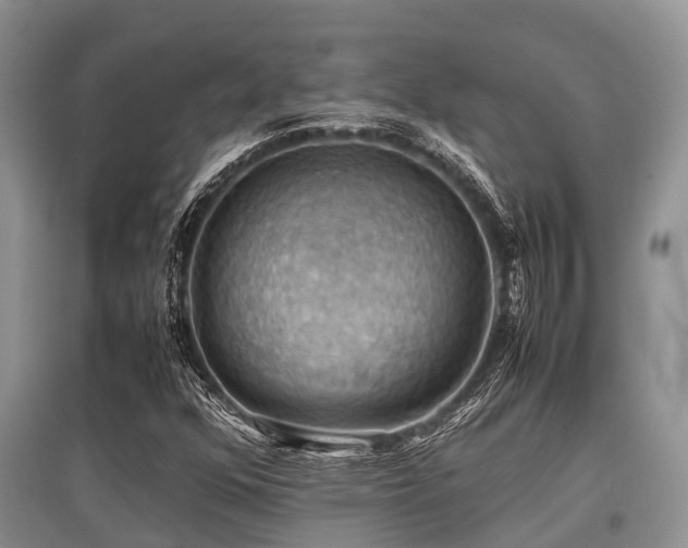 X0000097881352200803141311