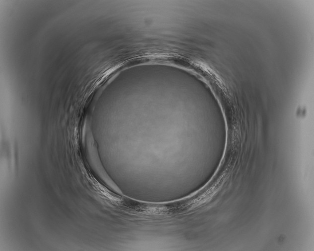 X0000097881353200803141311