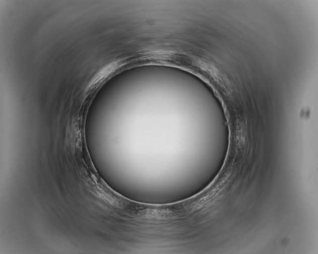 X0000097881354200803141311