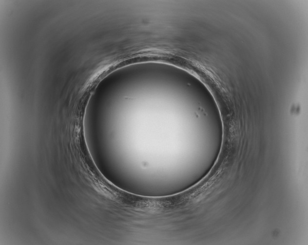 X0000097881355200803141311