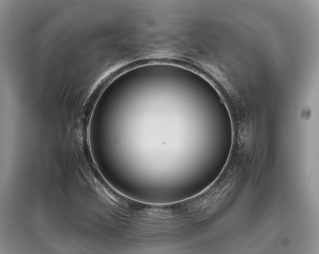 X0000097881356200803141311