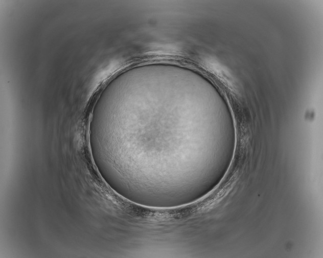 X0000097881357200803141311