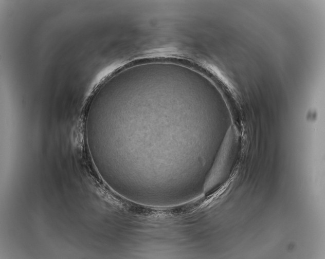 X0000097881358200803141311