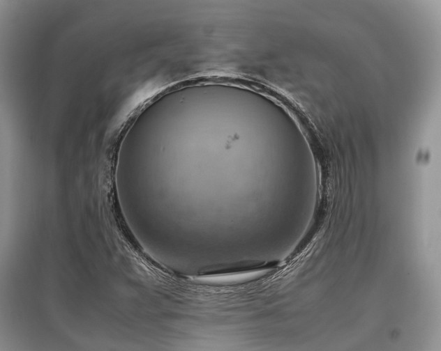 X0000097881359200803141311