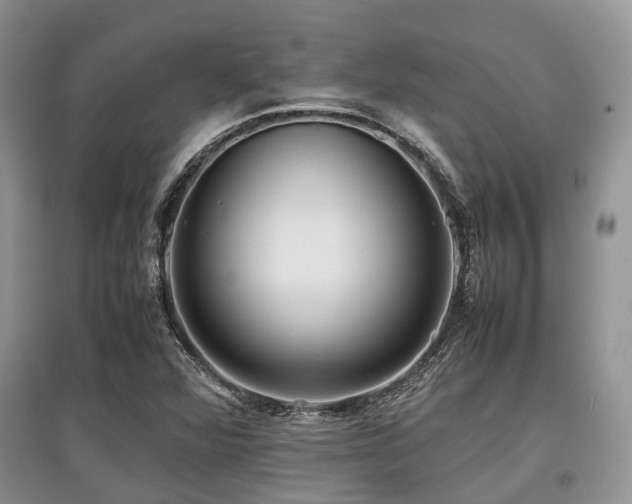 X0000097881360200803141311