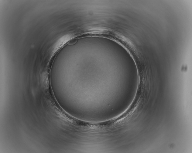 X0000097881362200803141311