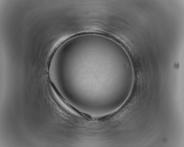 X0000097881363200803141311