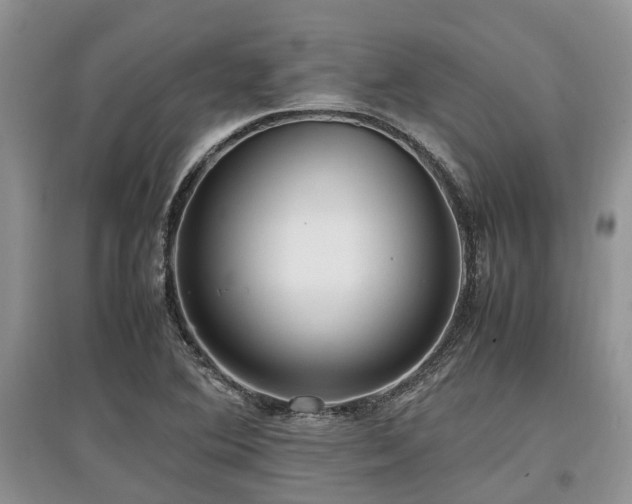 X0000097881364200803141311