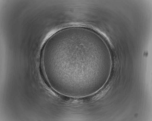 X0000097881365200803141311