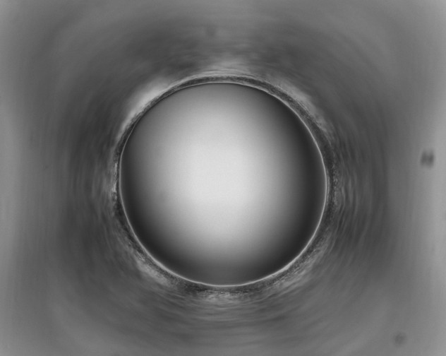X0000097881366200803141311