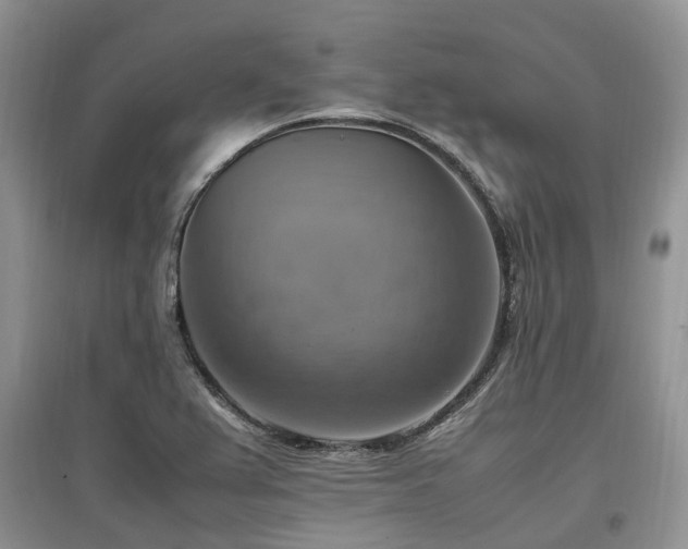 X0000097881367200803141311