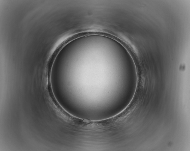 X0000097881368200803141311