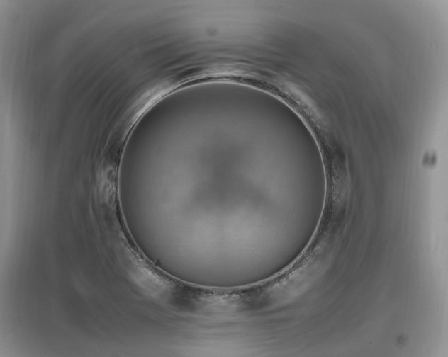 X0000097881369200803141311