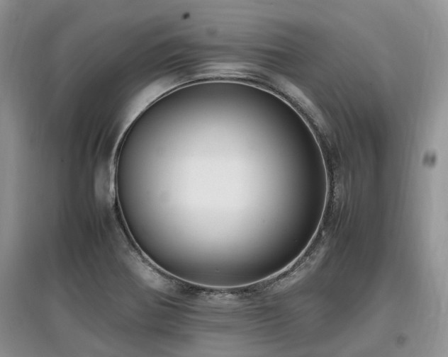 X0000097881370200803141311