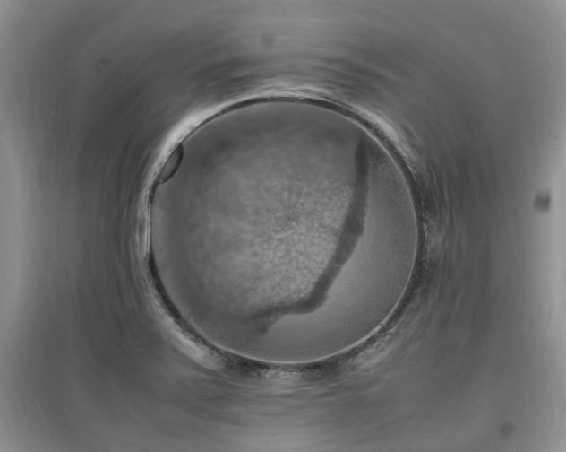 X0000097881371200803141311
