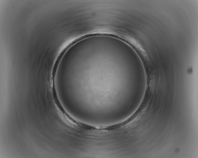 X0000097881372200803141311