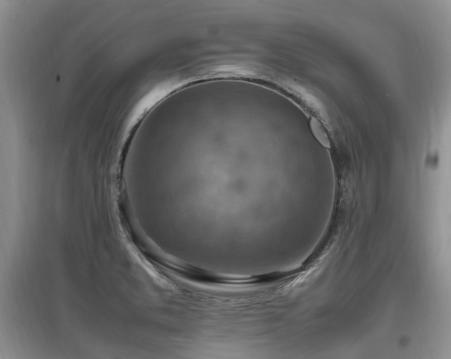 X0000097881373200803141311