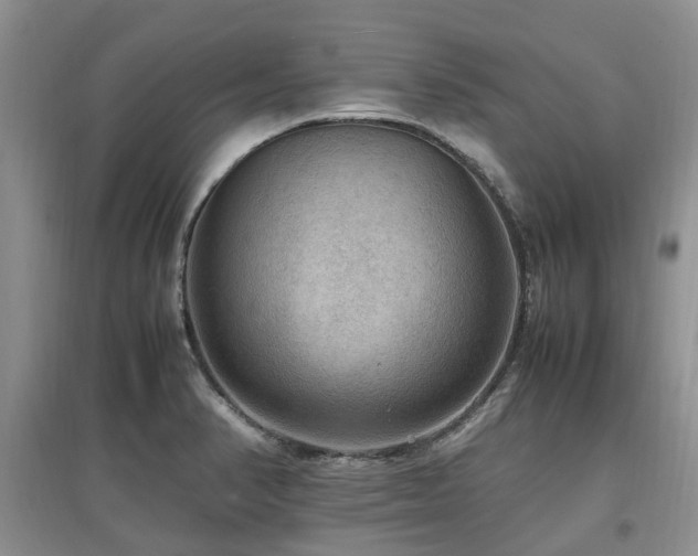 X0000097881374200803141311
