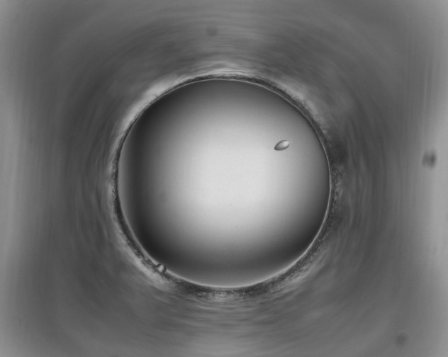X0000097881375200803141311