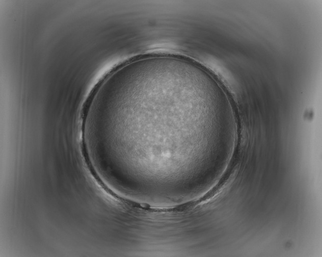 X0000097881376200803141311