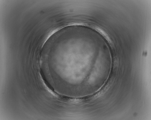 X0000097881377200803141311