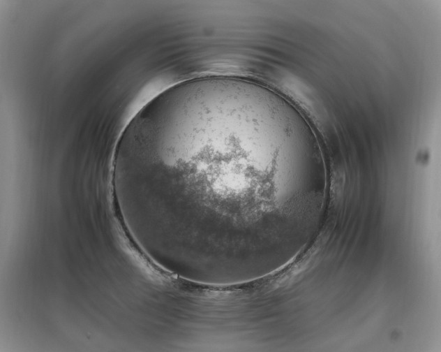 X0000097881378200803141311