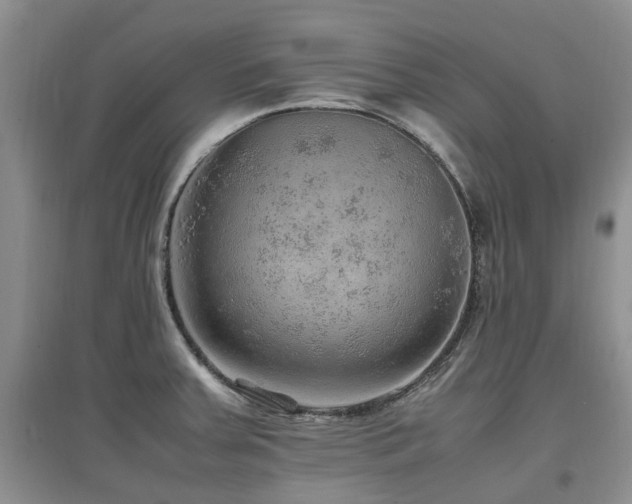 X0000097881379200803141311