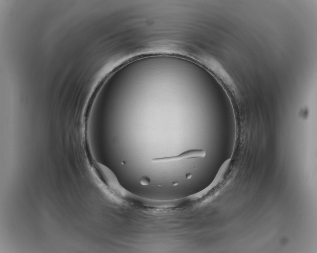 X0000097881380200803141311