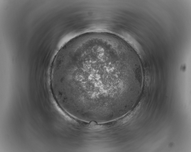 X0000097881382200803141311