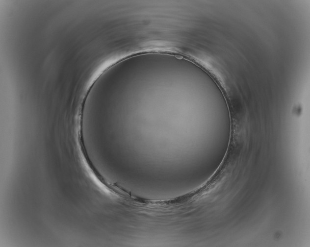 X0000097881383200803141311