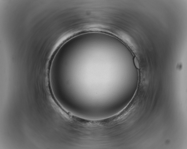 X0000097881384200803141311