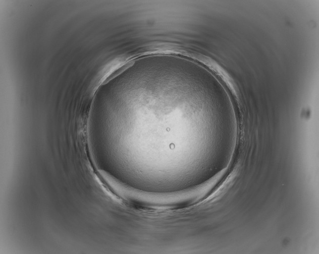 X0000097881385200803141310